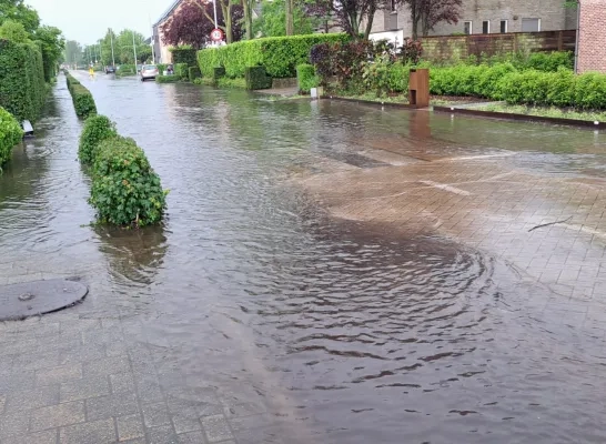 onweer stortbui straten blank Hoogstraten 3