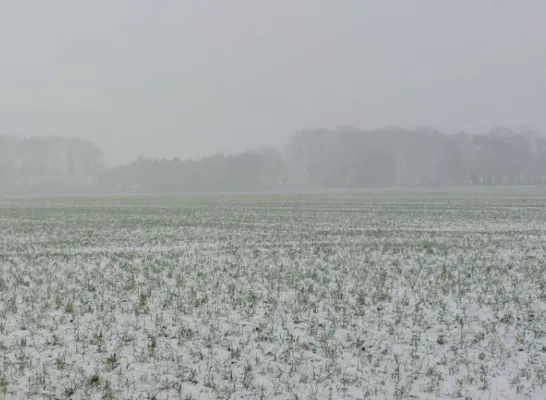 sneeuwlandschap_1501_rtv.jpg