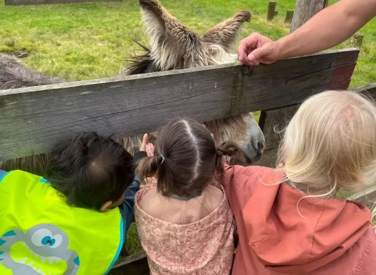 Bollekeshoeve kinderboerderij Zonderschot Heist-op-den-Berg