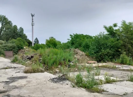 Pfas vervuiling Pelstan site Beerzel