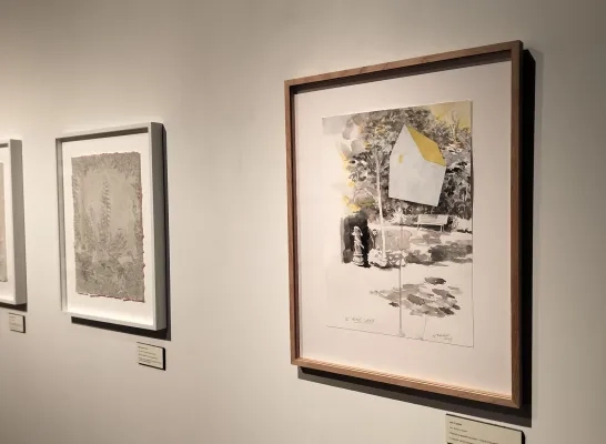 RTV - Expo 'De Gedroomde Tuin' in Emile Verhaerenmuseum