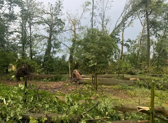 Feryn schade stormweer Mechelen Leest 