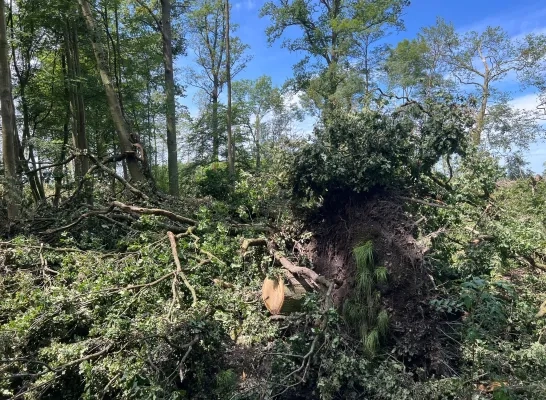 Feryn schade stormweer Mechelen Leest 