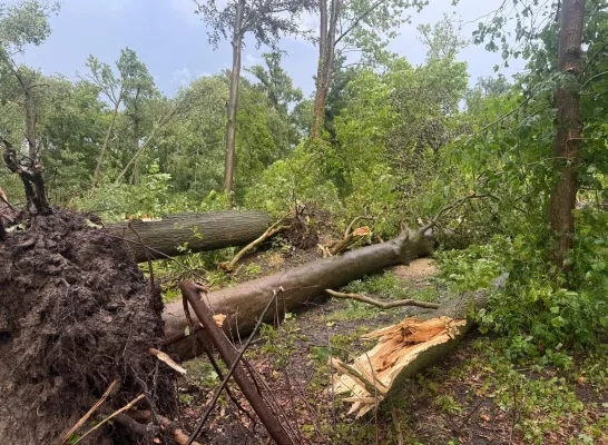 Feryn schade stormweer Mechelen Leest 