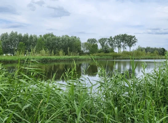 jutse plassen jutse plassen