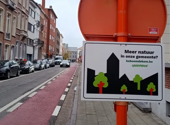 Greenpeace plakt bomenstickers Mechelen Greenpeace plakt bomenstickers Mechelen