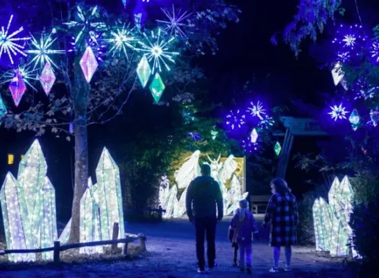 Lichtfestival Planckendael Muizen Mechelen