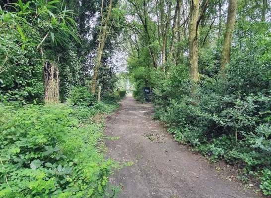 Molenbos Nijlen Molenbos Nijlen