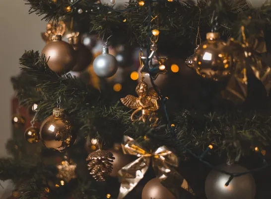 Kerstboom rechtenvrije stockfoto Kerstboom rechtenvrije stockfoto