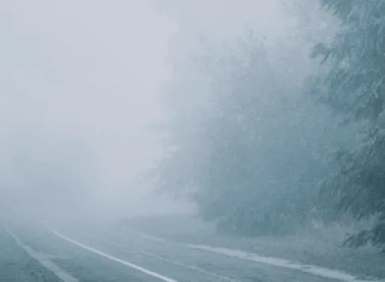 mist algemeen rechtenvrij mist algemeen rechtenvrij
