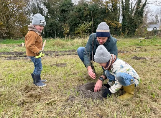 aurubis bomen planten princebos turnhout aurubis bomen planten princebos turnhout