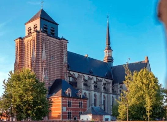 Stad Geel wil zomerbar op Sint-Dimpnaplein