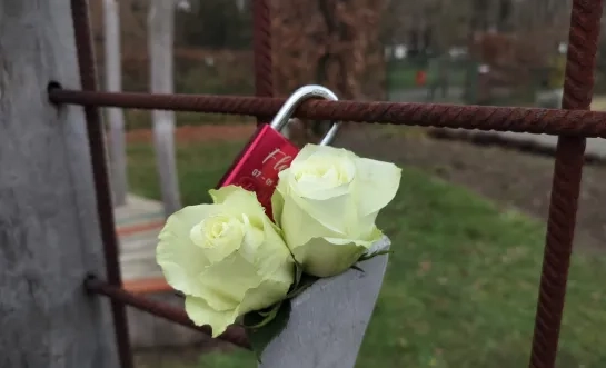 wereldlichtjesdag sterrenweide sterrenregister
