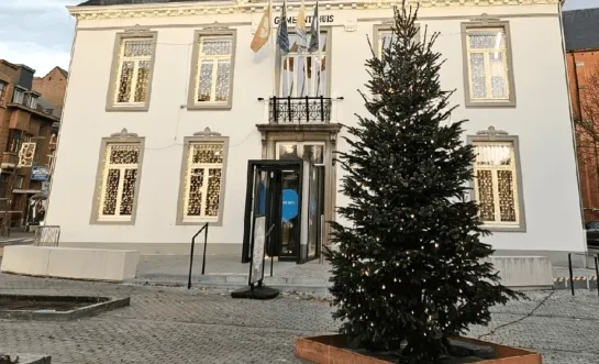 gemeente mol wens in boom