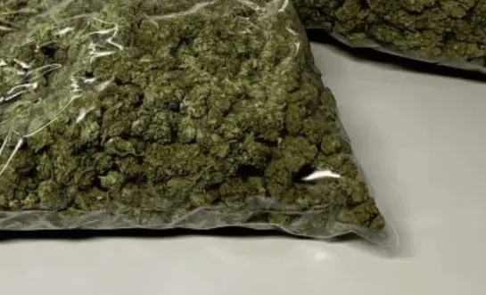 zakje cannabis archief