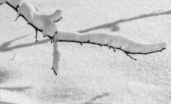 sneeuwbeeld rechtenvrij