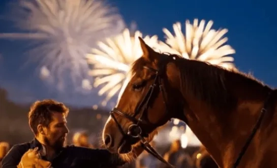 Oppassen met vuurwerk, de dieren zijn bang