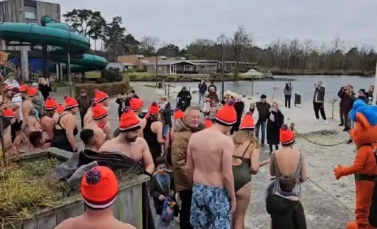 ijsberen Zilverstrand