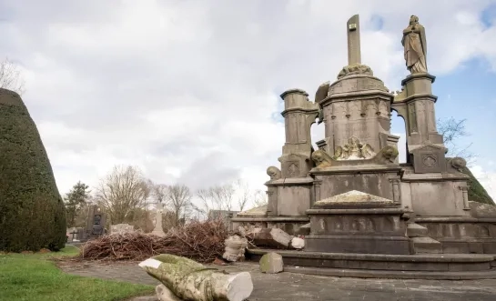 Kruisbeeld en ooievaarsnest vernield Muizen Mechelen