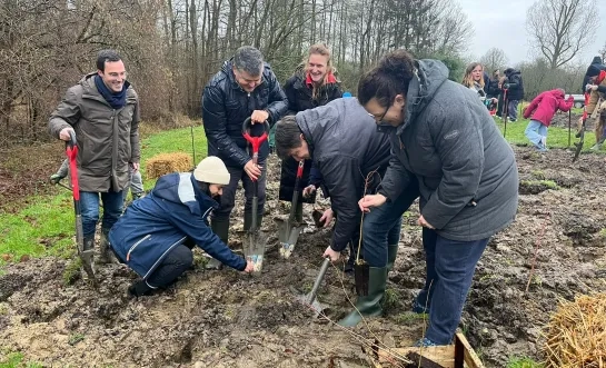Learning Leaves bomen planten in scholen