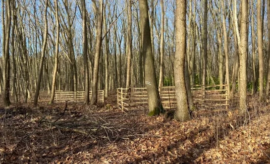 Kruiskensberg
