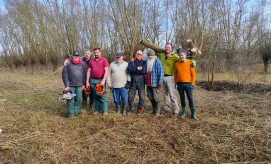 Titte den grunen hesteneer knotten wilgen knotwilgen Netevallei Natuurpunt knottende knotters
