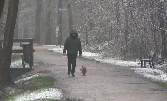 sneeuw sanne.