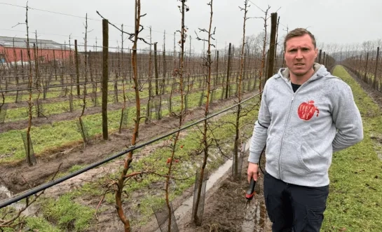 appelteler oud-turnhout.