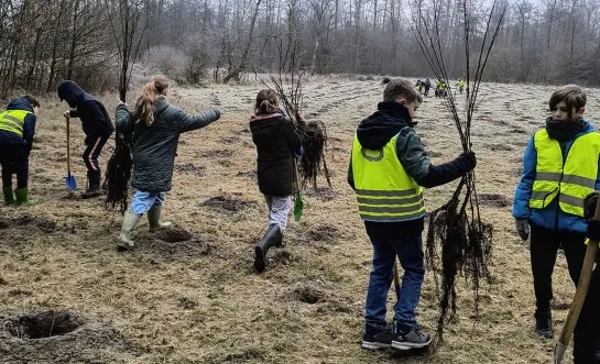 Kinderen planten bomen in Meerhout en Geel-Bel