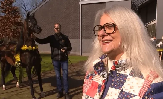 paardenzaad 