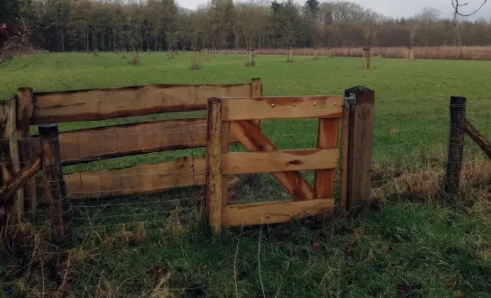 Hondenlosloopzone Postel