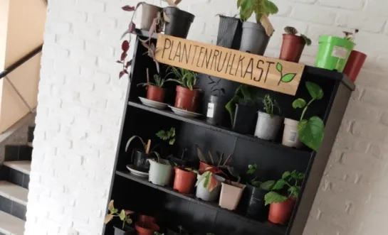 plantenruilkast herentals