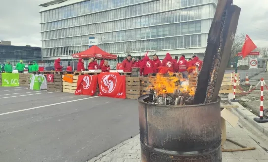 staking Fluvius