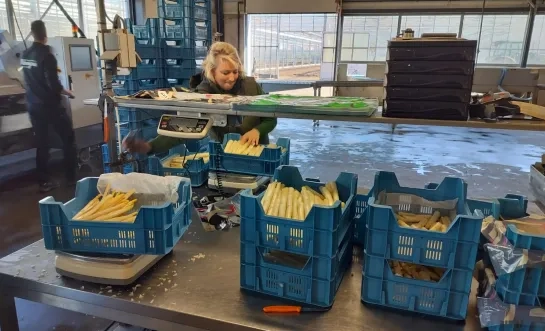 asperges familie Nooyens Ravels Lidl korte keten
