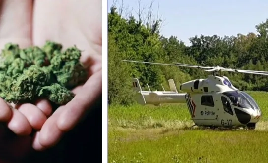 Compilatie archief cannabis/politiehelikopter