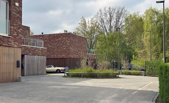 Inbraak auto's Muizen
