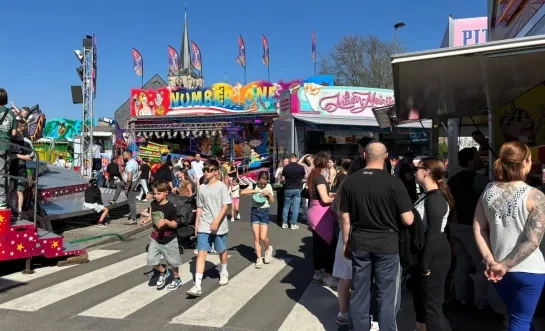 Palmenmarkt Geel