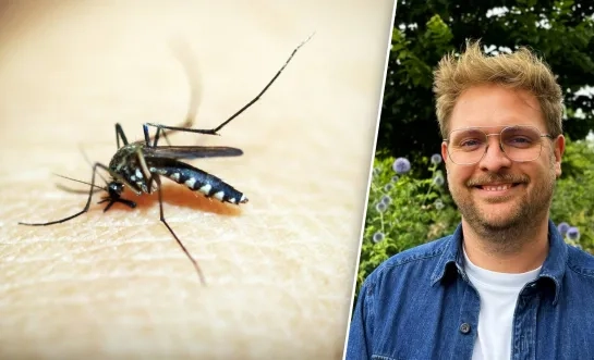 Beeldmontage RTV - rechtenvrije stockfoto/Rik Brabants