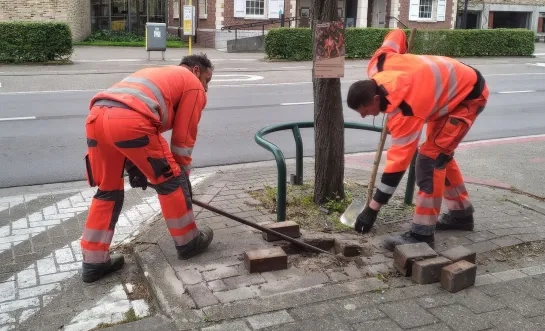 Vlaams kampioenschap tegelwippen Bonheiden