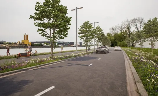 Heraanleg Westdijk Willebroek