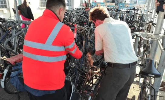 Weesfietsen Lier