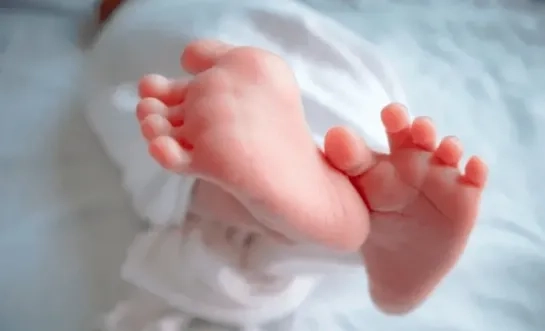 sterrenregister baby rechtenvrij.