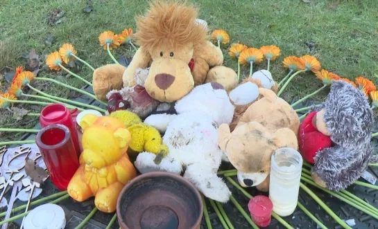 knuffels dodelijk ongeval heist