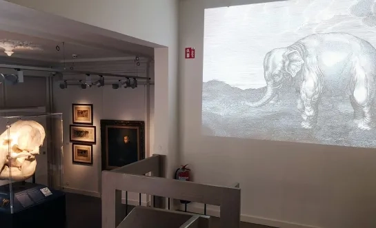Jakob Smitsmuseum tentoonstelling Rembrandt, Smits & Hansken