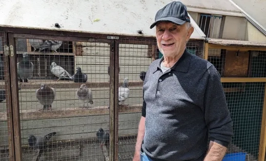 Jos Cools Grobbendonk bende duiven