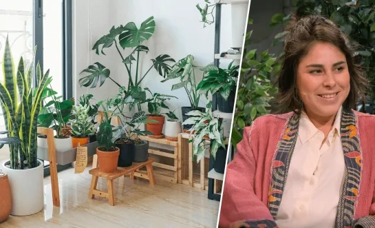 Beeldmontage RTV - rechtenvrije stockfoto/Paulien Cloots