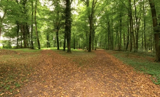 stad geel natuurbegraafplaats 