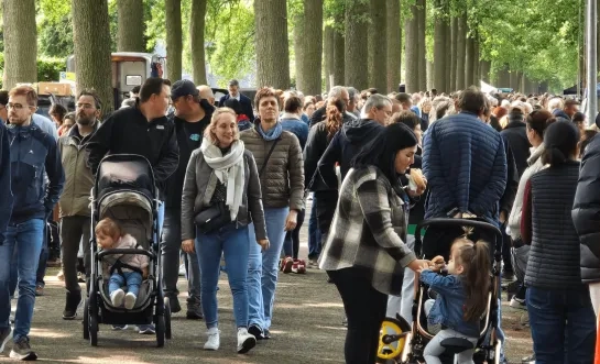 rommelmarkt wortel 