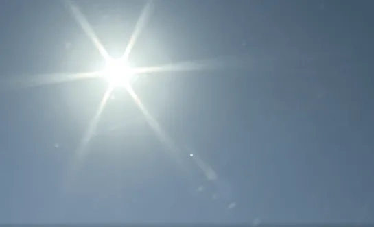 zon 
