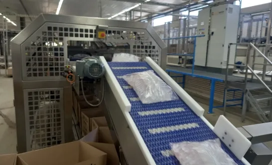 De ijsmachines van Ice Factory Europe draaien op volle toeren